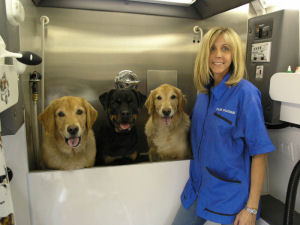 Lauren and her three dogs