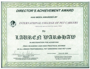 Director's Achievement CSDG