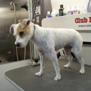 JRT After stripping