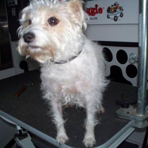 JRT - before